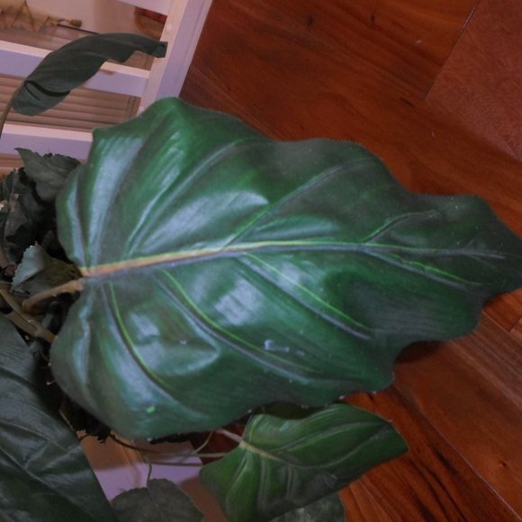 Fabric Foliage Arrangement in a Basket Planter - Picture 4 of 8